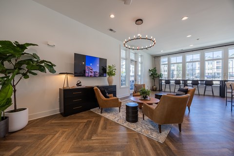 A living room with a television, chairs, and a plant.