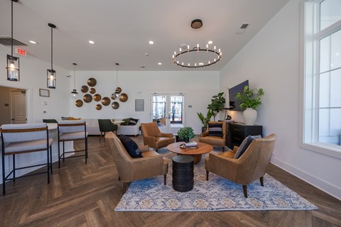 A living room with a brown sofa, a green plant, and a chandelier.