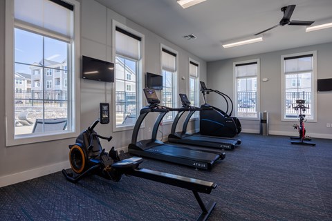 A gym with treadmills, elliptical machines, and a fan.