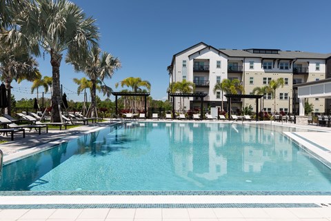A large swimming pool in front of a building with palm trees.