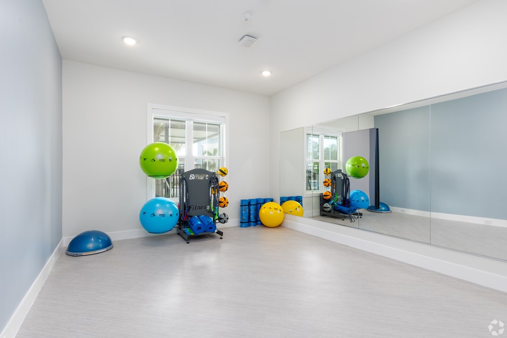 A room with exercise equipment and exercise balls.