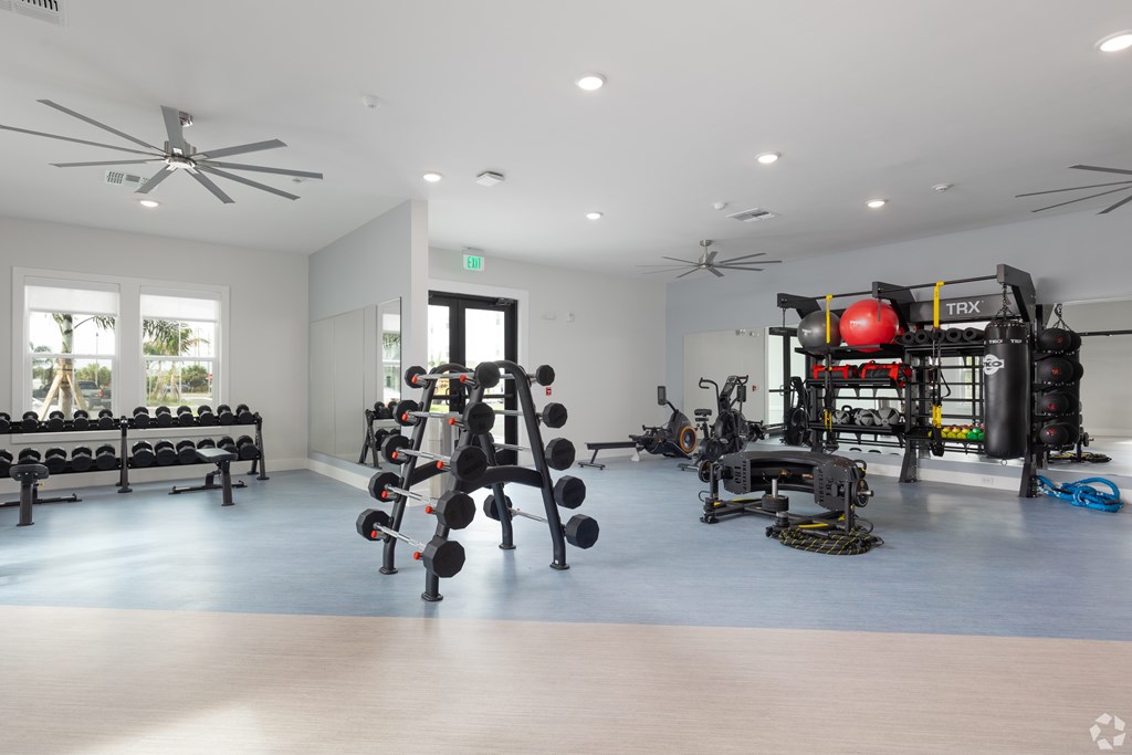 A gym with a variety of equipment including a TRX system.