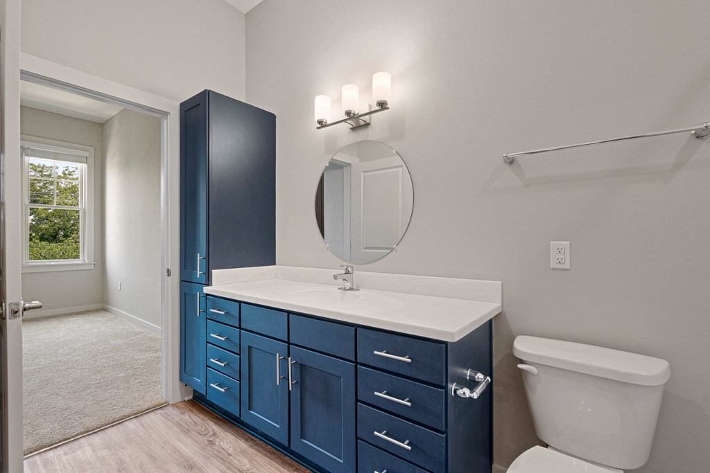 a bathroom with blue cabinets and a white sink and toilet