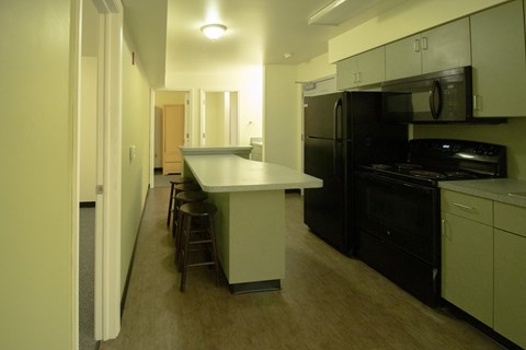 IP 1206 kitchen