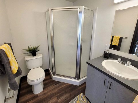 a bathroom with a shower toilet and sink