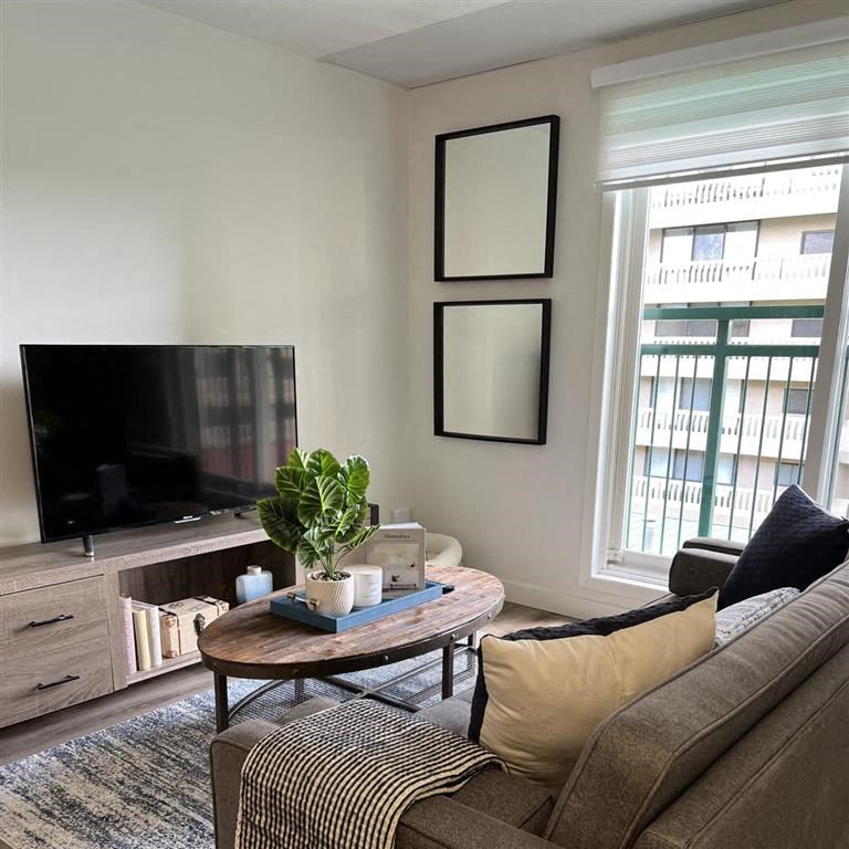 a living room with a couch and a television