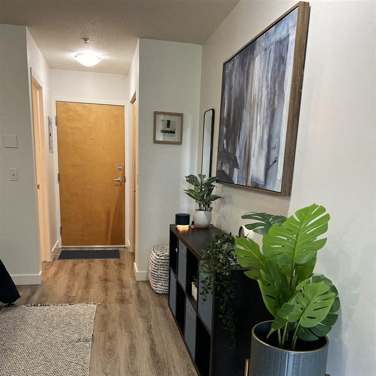 a hallway with a plant and a wooden door