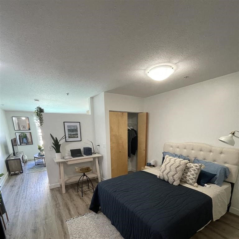 a bedroom with a bed and a desk