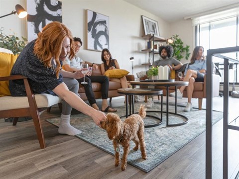 a woman petting a small dog in a living room
