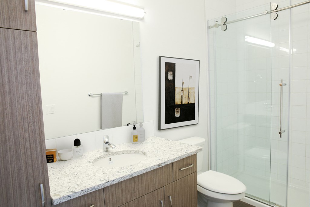 a bathroom with a shower and a sink and a mirror