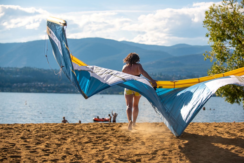 a woman holding a large kite on a beach