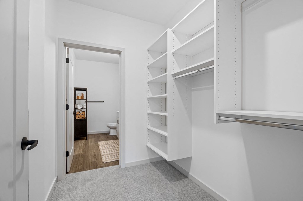 a white closet with shelves and a toilet in it