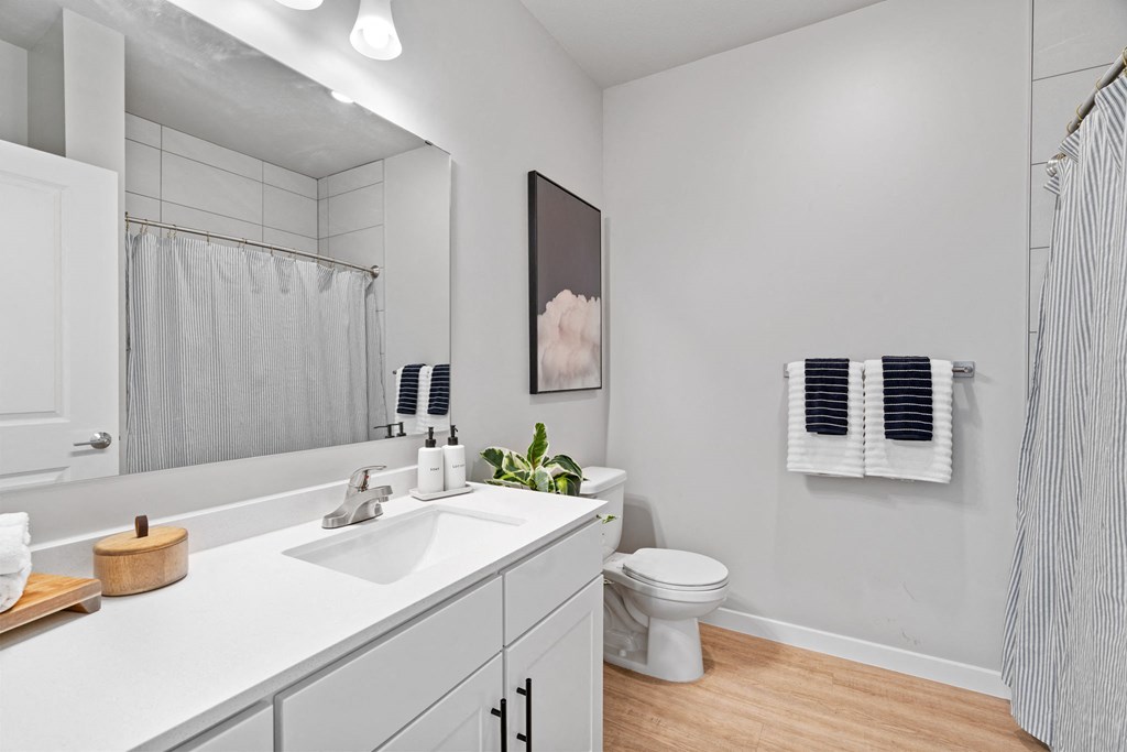 a bathroom with a sink and a toilet and a mirror