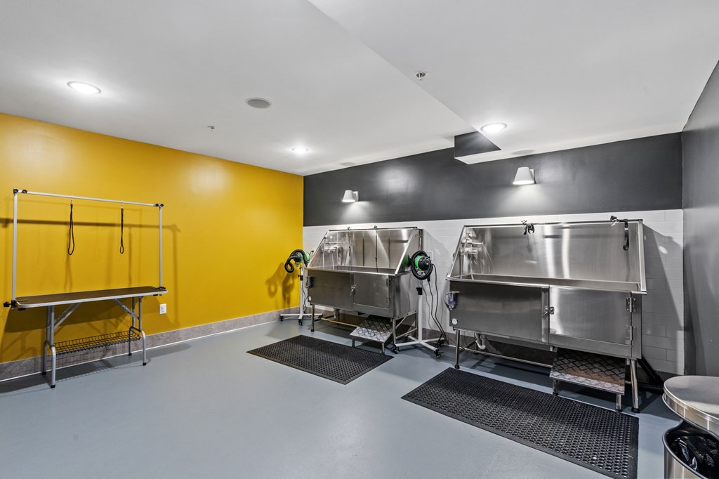 A clean, empty industrial kitchen with stainless steel appliances and a yellow wall.