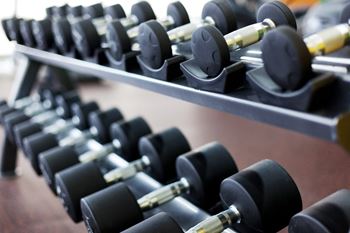 a row of weights on a rack in a gym