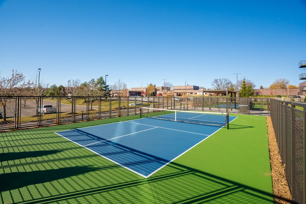 Pickleball Court