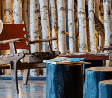 a group of chairs and tables in a room with birch trees