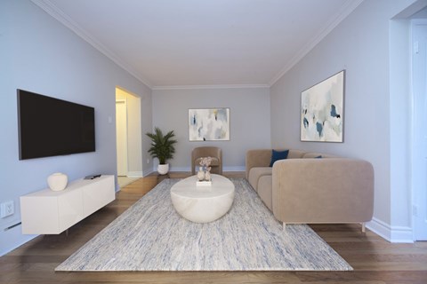 A living room with a white couch and a rug.