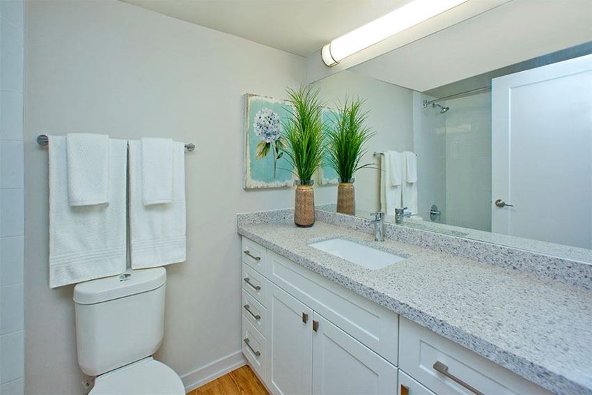 Royal Rose Apartments, 165 La Rose Avenue, Etobicoke, ON RentCafe