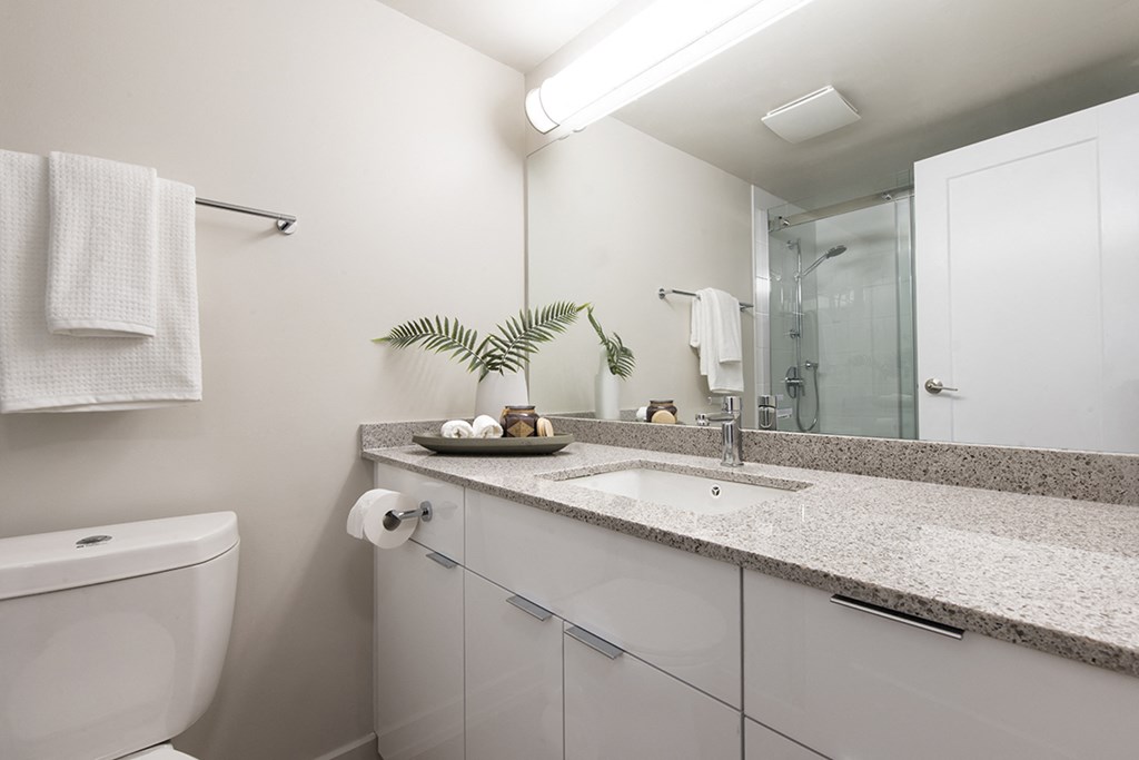 Glades on 55 bathroom featuring modern finishes in Langley, BC