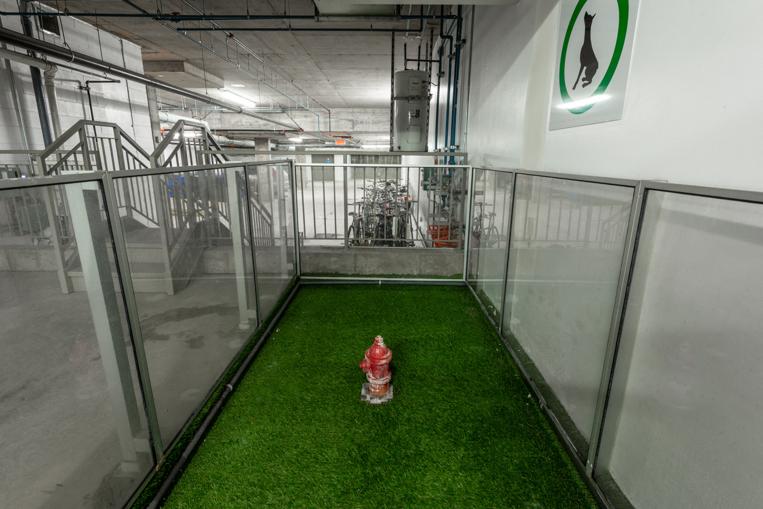 Sheltered, flushable dog run at Axial Towers apartment in Laval, Quebec