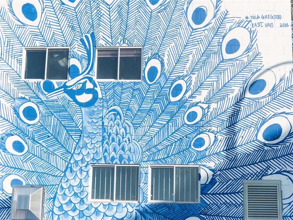 Mural of a peacock