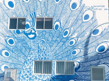 Mural of a peacock - Photo Gallery 56