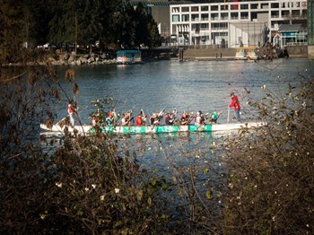People rowing - Photo Gallery 83