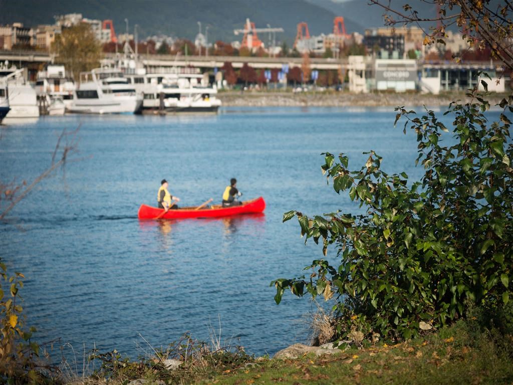 People canoeing