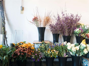 Flower shop - Photo Gallery 97