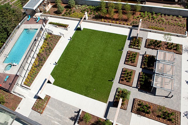 Cityview Apartments Aerial of grass overlooking the pool in Brampton, ON