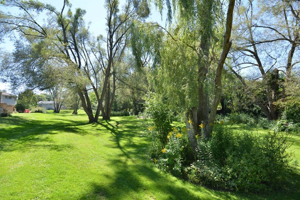Grassy field with trees and bushes  at Creekside Townhomes in Oshawa, ON