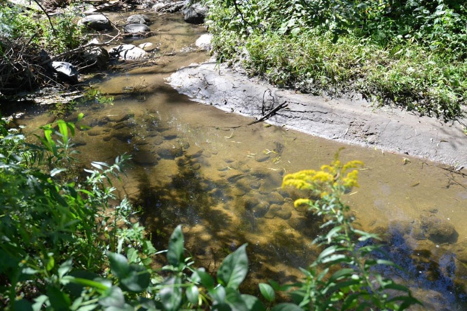 Green spaces with stream at Creekside Townhomes in Oshawa, ON