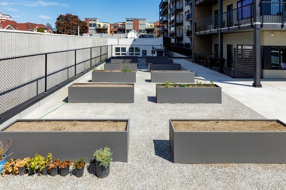 A rooftop garden with grey planters and a black fence at The Ambrosi in Kelowna, BC.