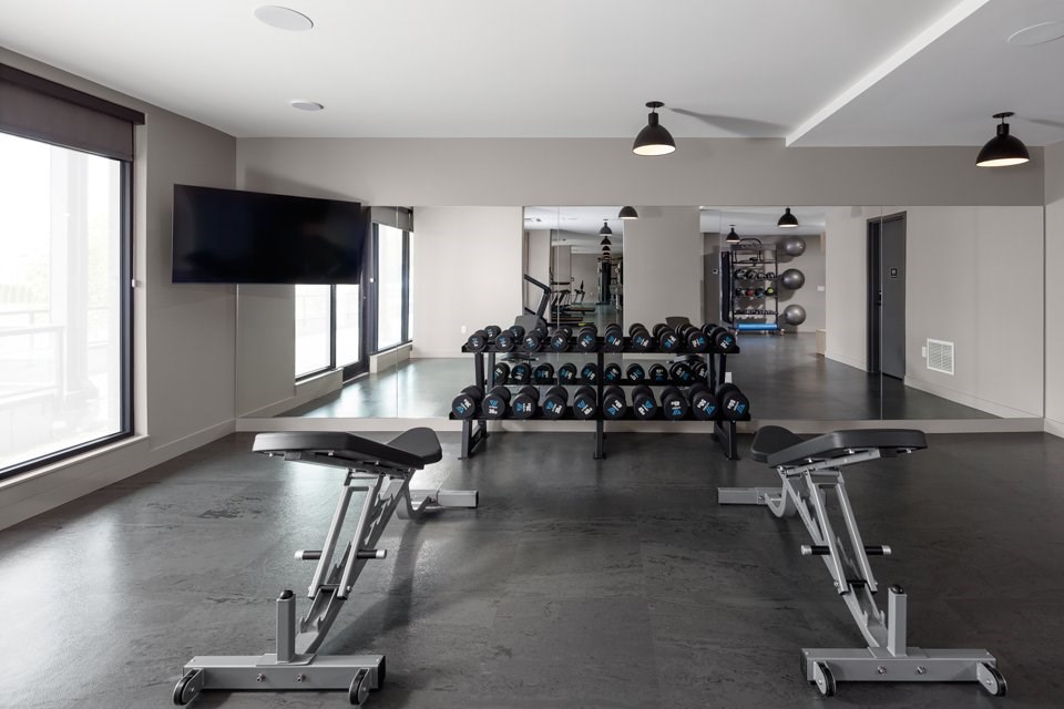 A gym with a row of dumbbells and weight plates.