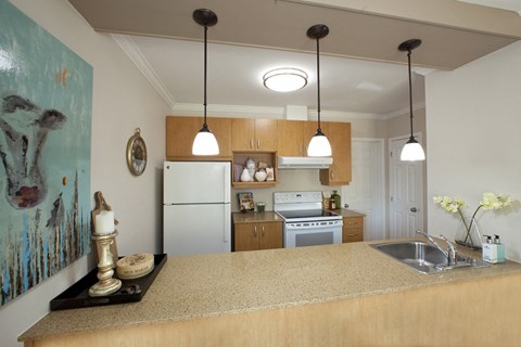 Heritage Lofts apartments kitchen featuring pendulum lighting in Gatineau, QC