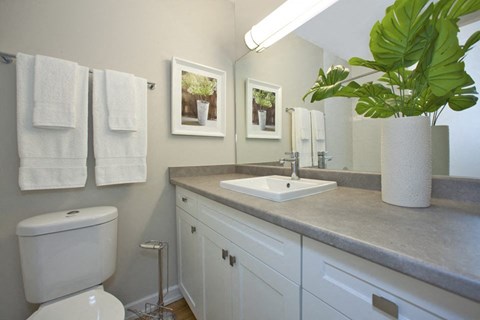 High Street Apartments bathroom featuring vanity storage with modern finishes in Fort Erie, ON