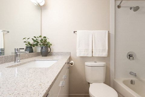Horizon Towers in Burnaby, BC bathroom with upgraded cabinetry