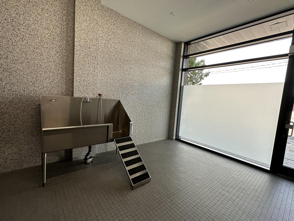 pet spa at junction factory in Toronto ON