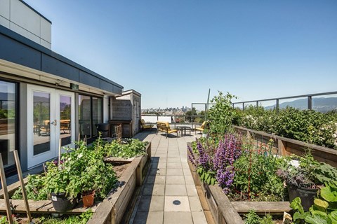 A rooftop garden with a variety of plants and flowers at 388 Kaslo East Village.