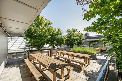 A wooden table and benches are on a patio with trees in the background at 388 Kaslo East Village.