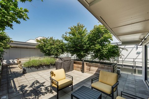 A patio with a table, chairs and plants at 388 Kaslo East Village.