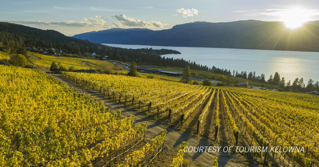 Kelowna Winery, a vineyard with a lake and mountains nearby The Ambrosi Apartments