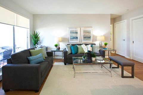 A living room with a grey couch and a glass coffee table.