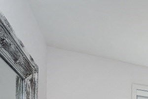 Master bedroom of a two bedroom apartment with large windows at Le Saint-Laurent Apartments in Brossard