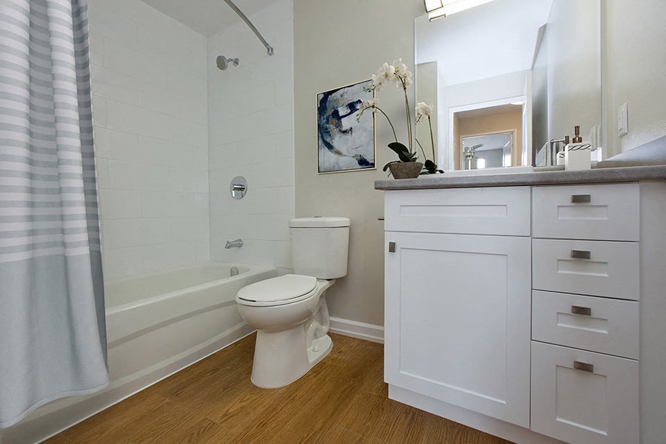 Leamington Heights bathroom with full size bathtub in Leamington, ON