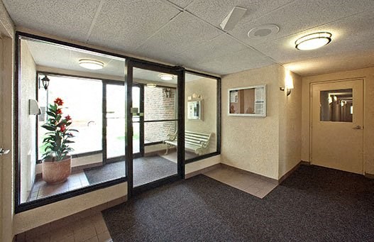 A room with a door, a window, and a potted plant.