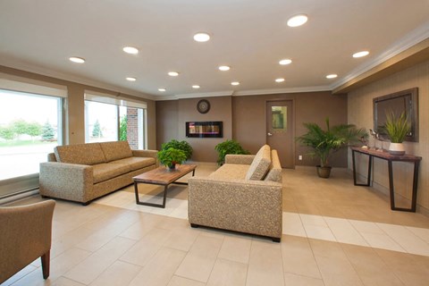 A living room with a couch, chair, and potted plants.