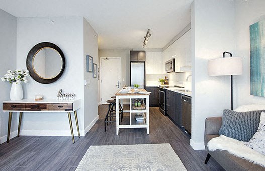 Bachelor apartment with kitchen in the center