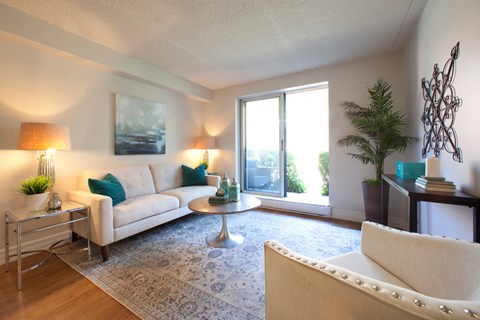 A living room with a white couch and a rug.